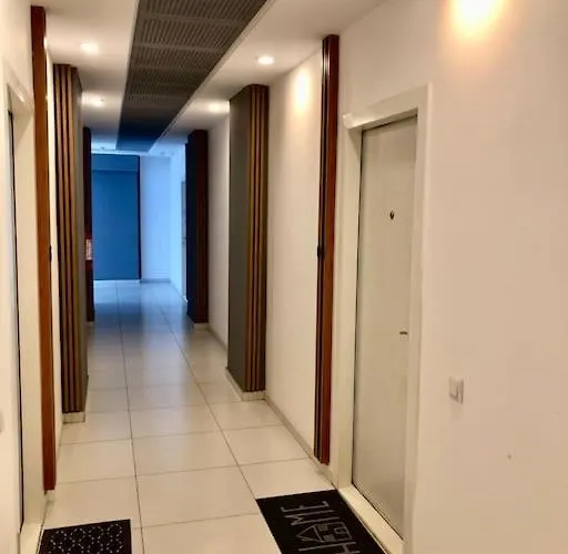 Joy Vivalia V5-9 تيميشورا