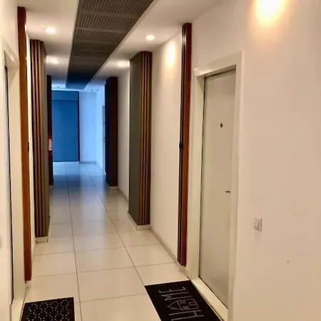 Joy Vivalia V5-9 Timisoara