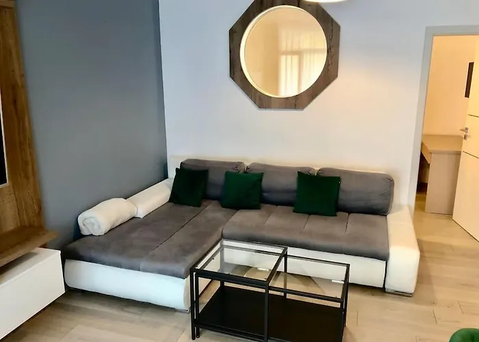 Joy Vivalia V5-9 טימישוארה